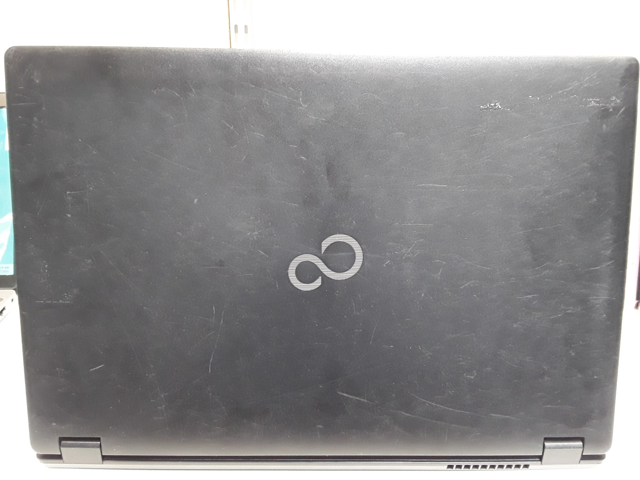 flbe5510.jpg