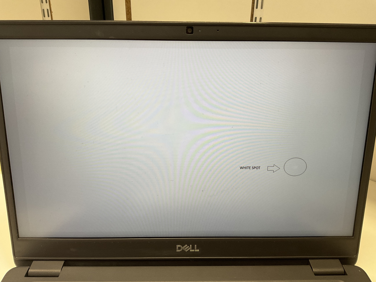 DL3410.jpg