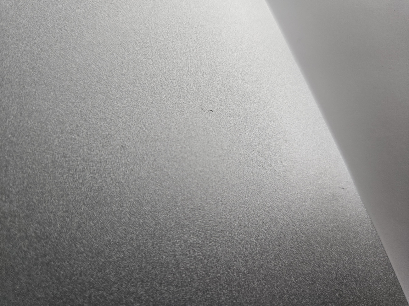 dl5340.jpg